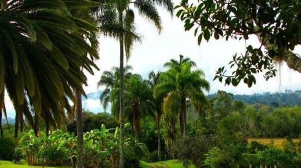 55 miles from Bogotá.
#Adventure