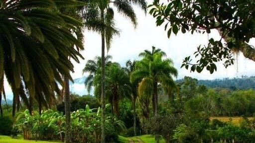 55 miles from Bogotá.
#Adventure