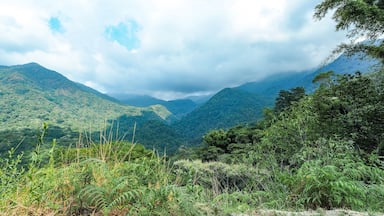 mountain view at the sierra nevada in colombia