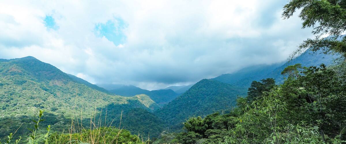 A lush green valley with dense vegetation and rolling hills in the background.