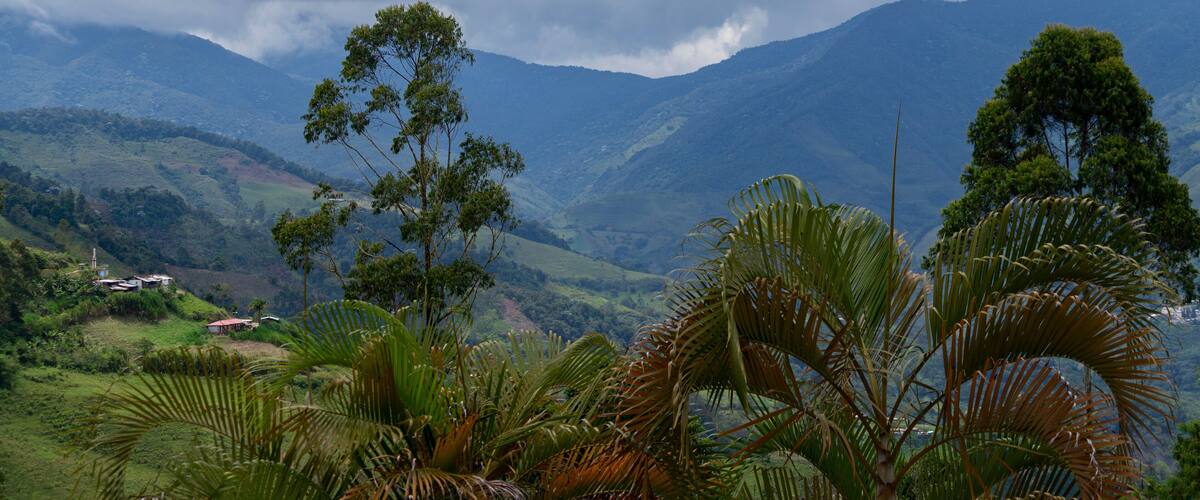 A mountainous landscape with palm trees in the foreground and a cloudy sky.