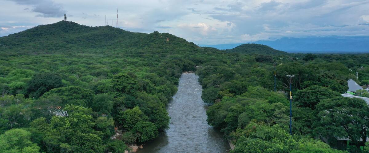 A river flowing through a dense forest with hills on either side.