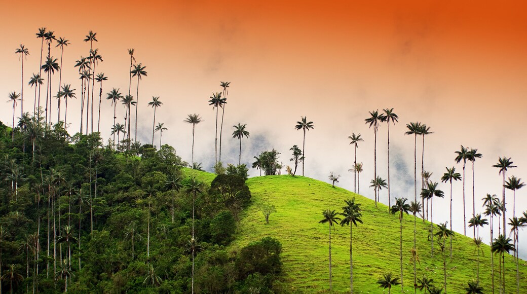 โกลอมเบีย