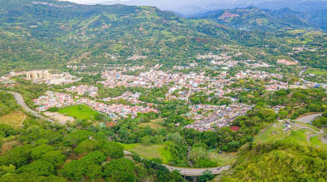 ๊ณผ์ผ๋ฐ ๋ฐ ์ํค๋ง