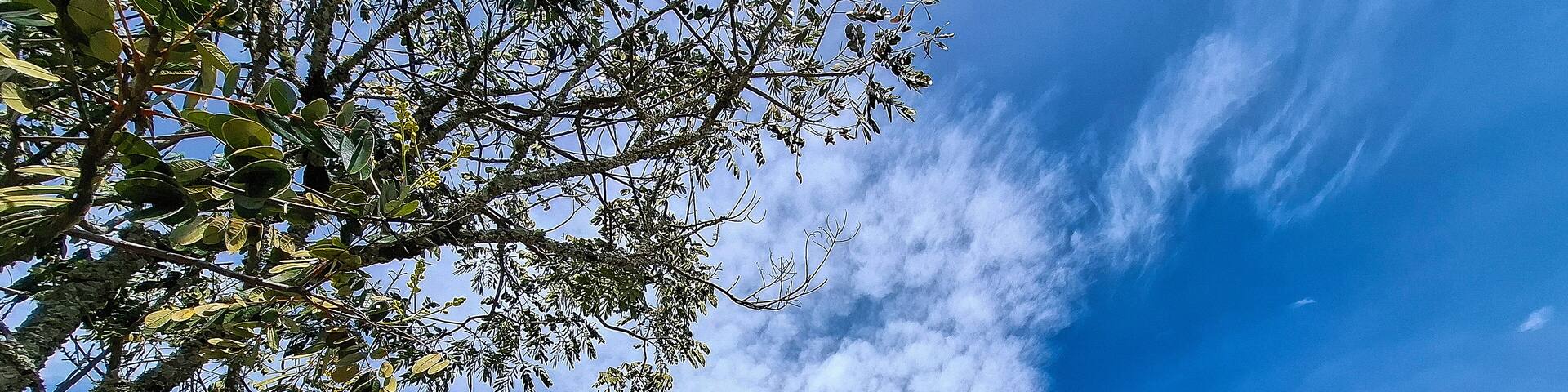 Abejorral, Antioquia, Colombia. April 15, 2025. Our Lady of Carmen Parish, construction began in 1825