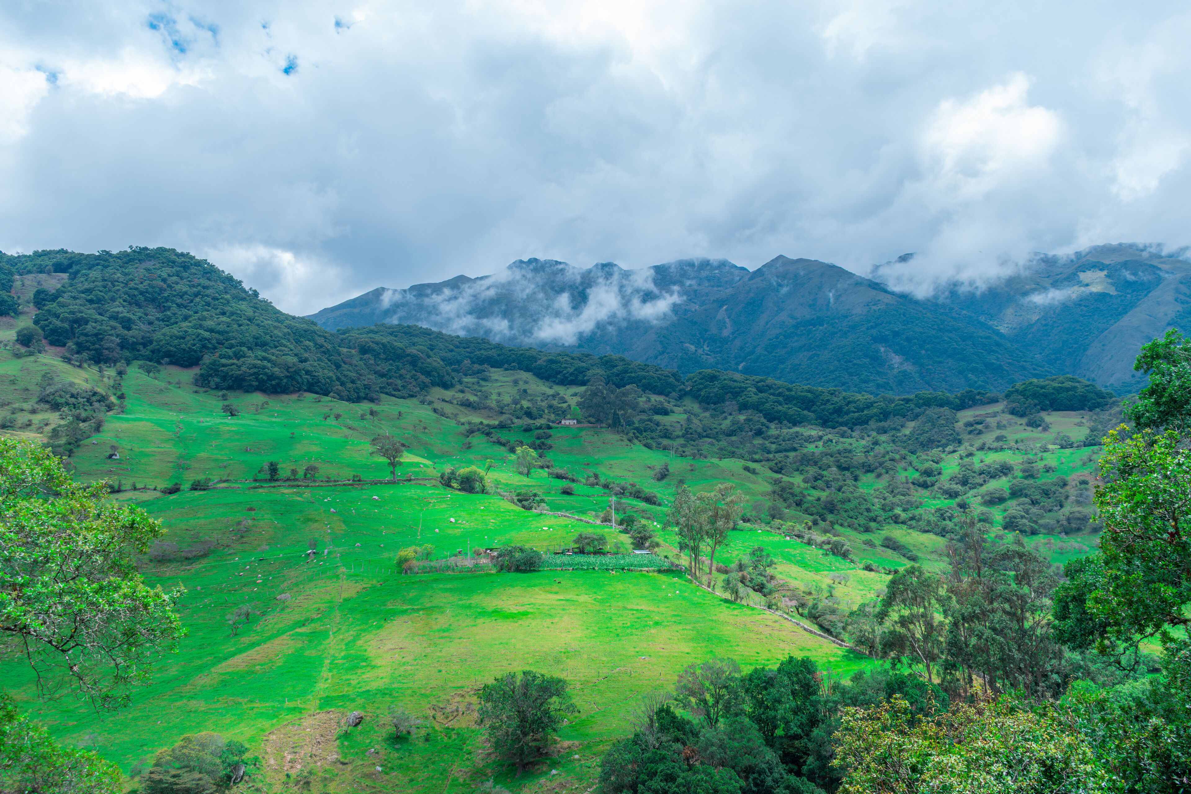 A lush green valley with rolling hills and mountains in the background.