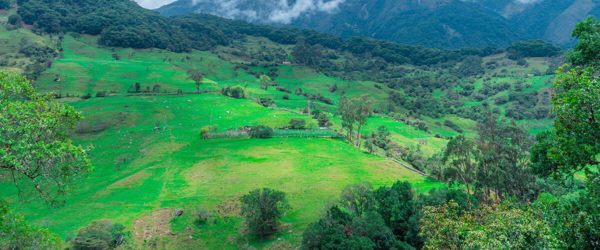 A lush green valley with rolling hills and mountains in the background.