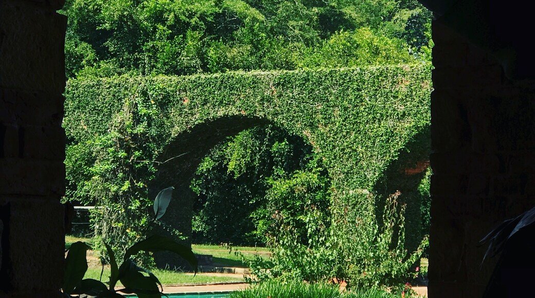 Historia de Colombia de luchas y batallas