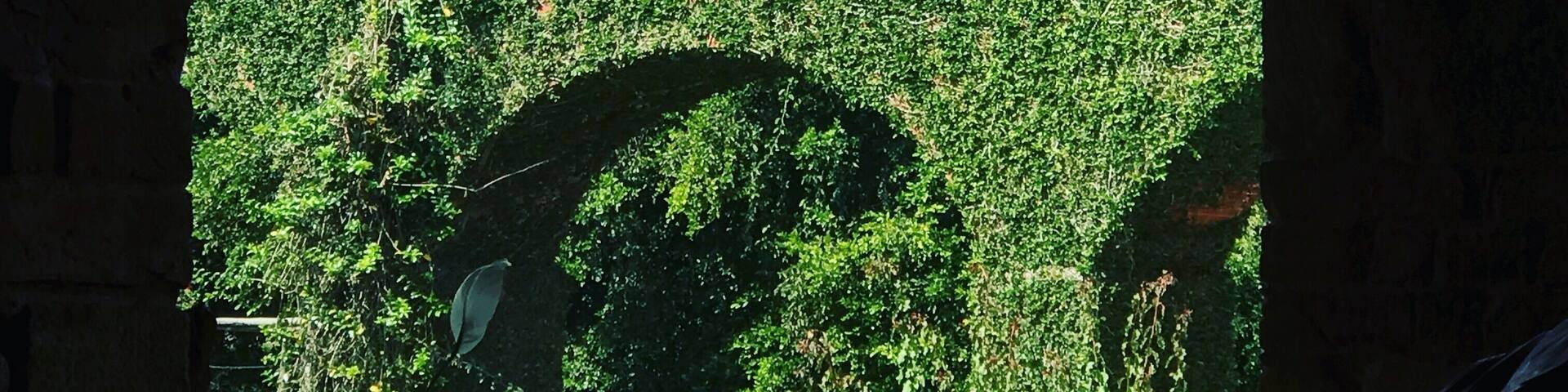 Historia de Colombia de luchas y batallas