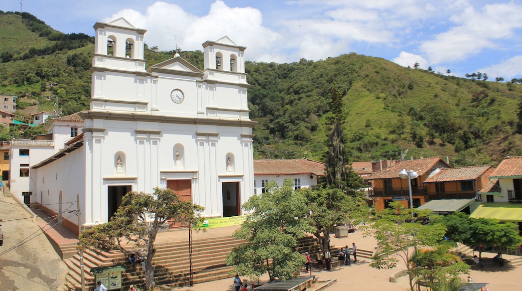 บูริติกา