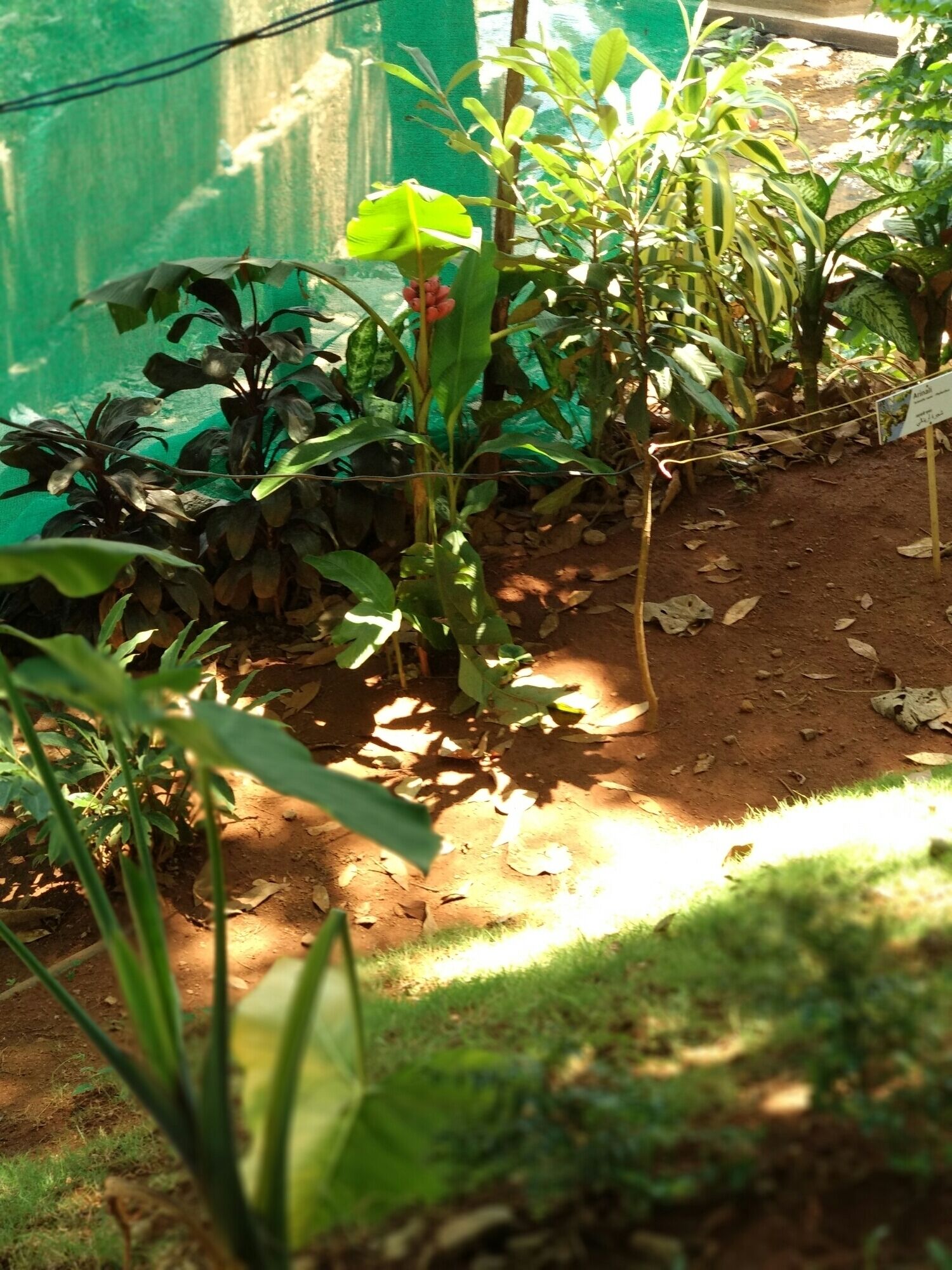 This garden has lots of herbs and spices. One can buy spices from here but it will be costly from outside market.
#Munnar #Spicegarden #LifeAtExpedia