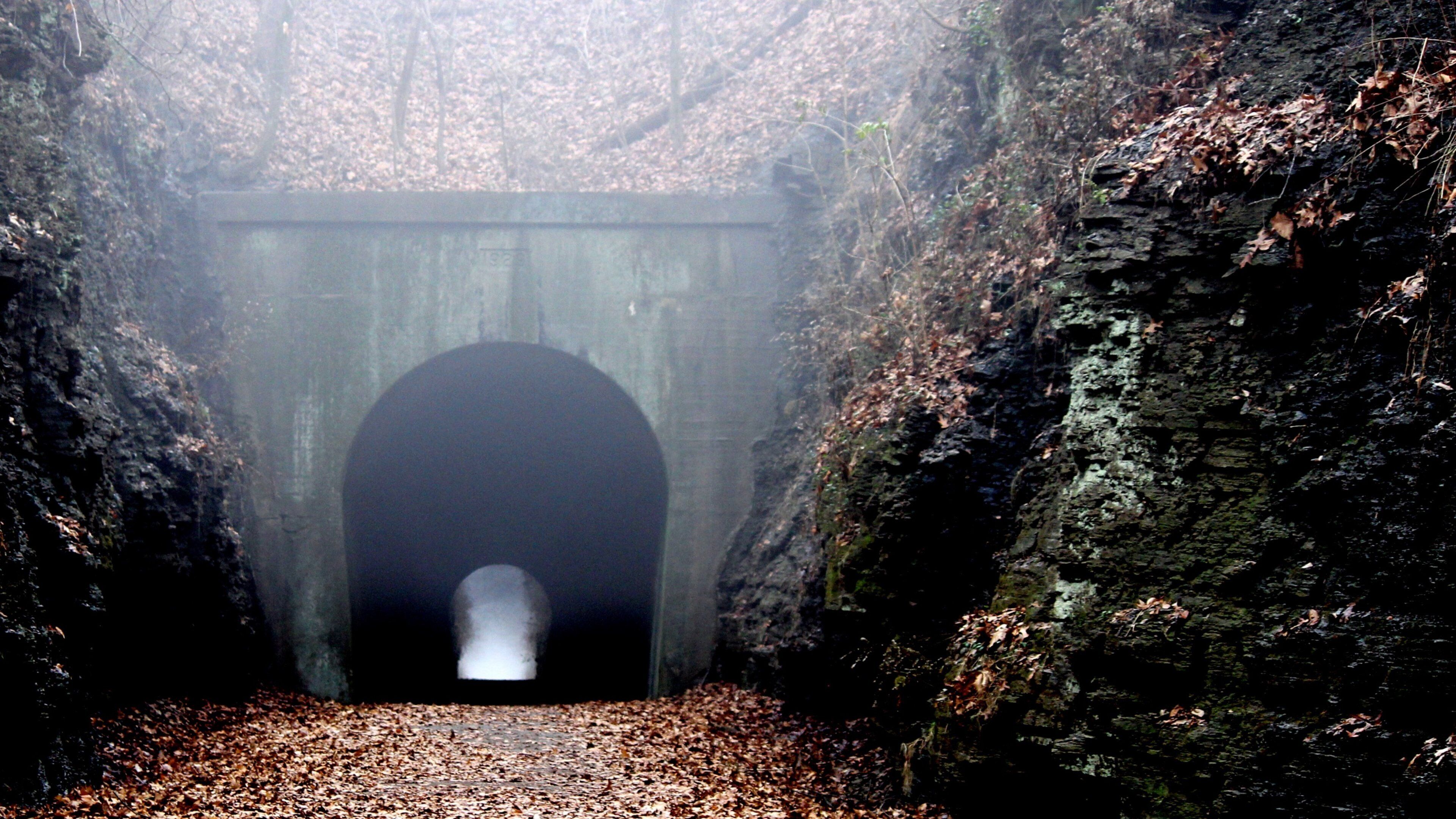 サザン イリノイ 表示 森林の風景 と 秋色