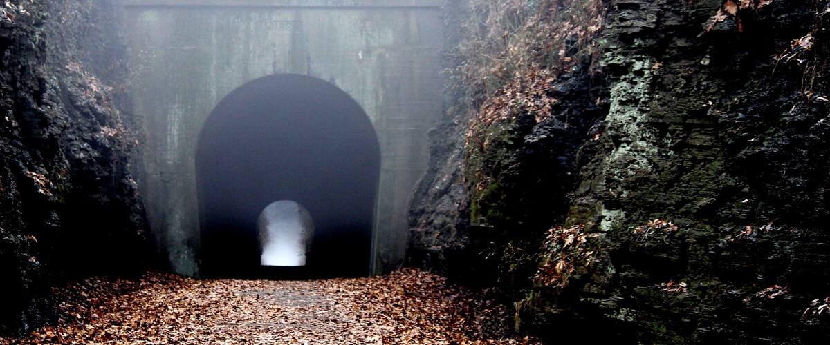 Southern Illinois which includes autumn leaves and forests
