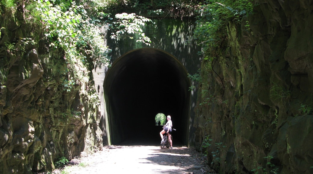 Illinois Meridional ofreciendo bosques y también una mujer