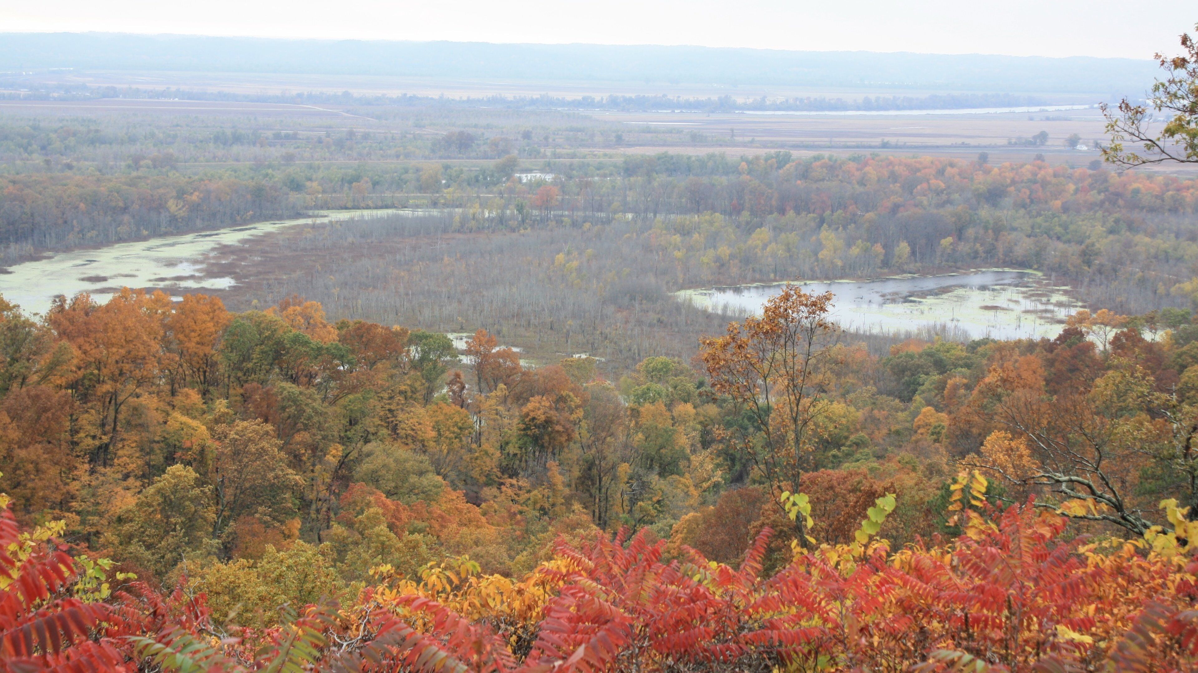 Shawnee National Forest featuring landscape views and tranquil scenes