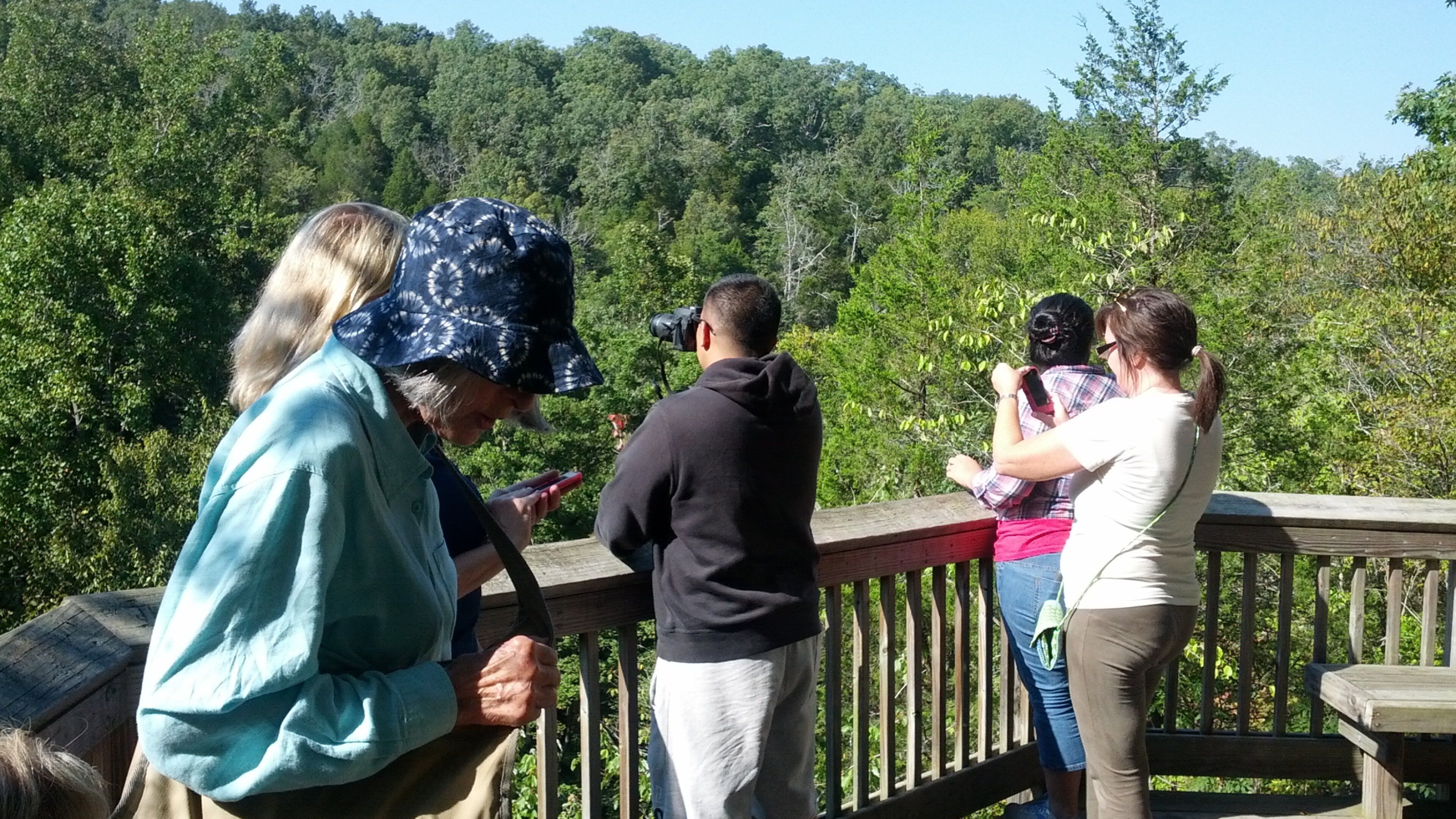 Southern Illinois featuring forest scenes and views as well as a small group of people