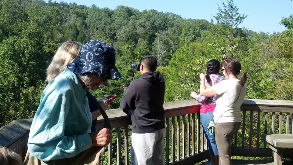A group of people on a wooden deck overlooking a forested area.