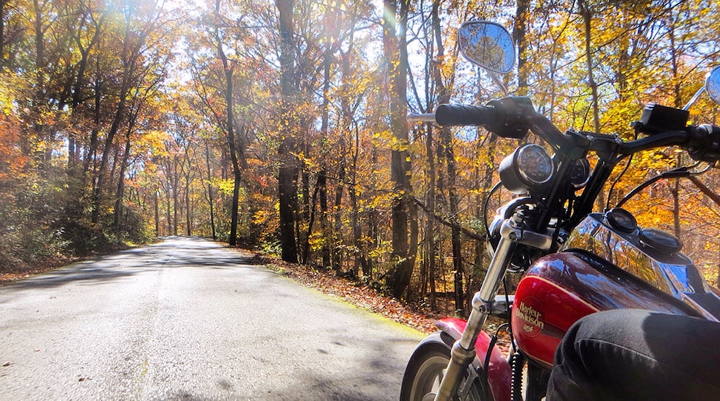 Shawnee National Forest featuring motorcycle riding, tranquil scenes and autumn leaves