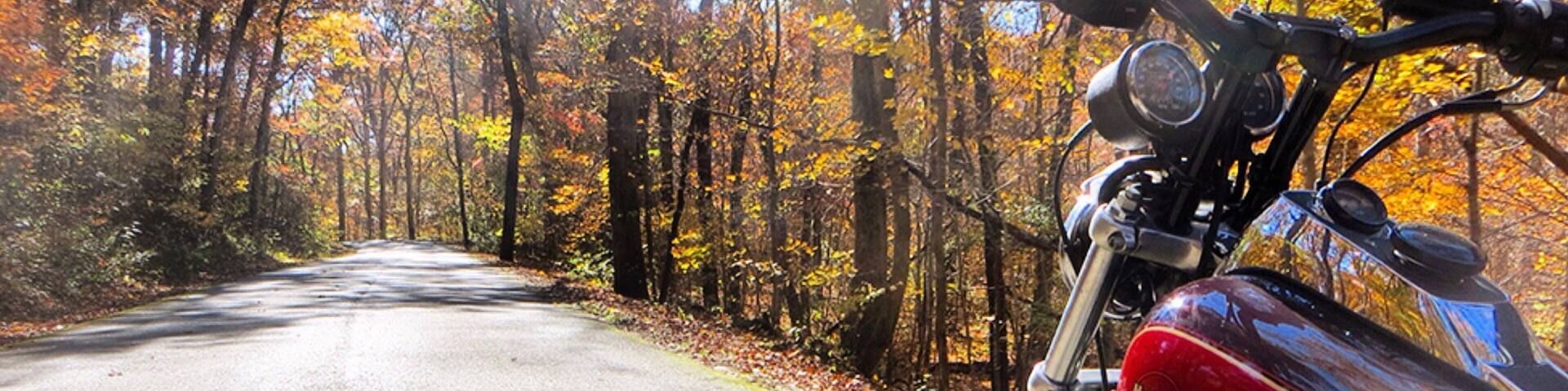 Shawnee National Forest featuring motorcycle riding, tranquil scenes and autumn leaves