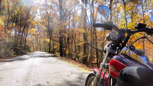 Shawnee National Forest featuring motorcycle riding, tranquil scenes and autumn leaves