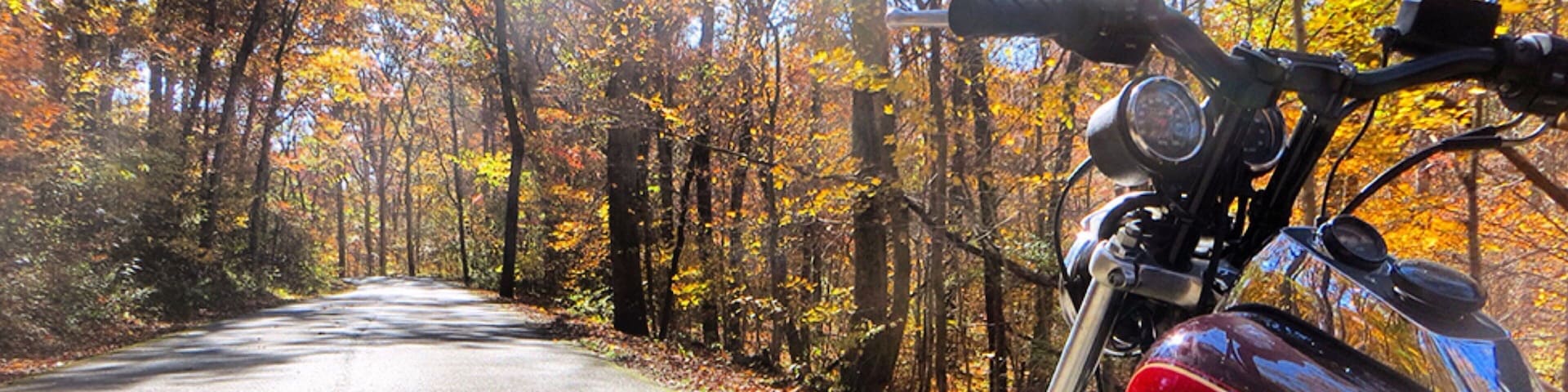 Shawnee National Forest featuring motorcycle riding, tranquil scenes and autumn leaves