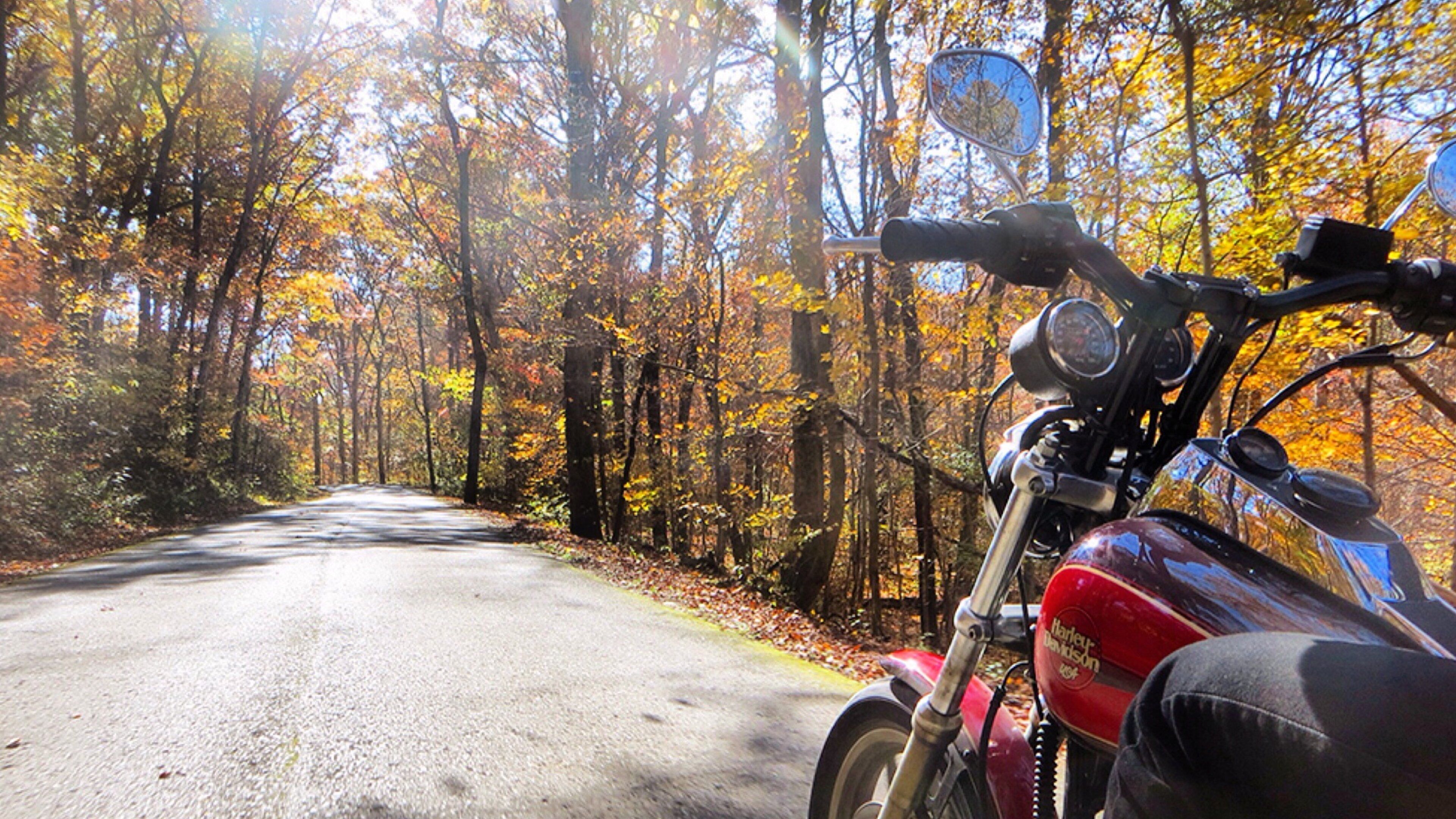 A motorcycle parked on a road surrounded by autumn trees.