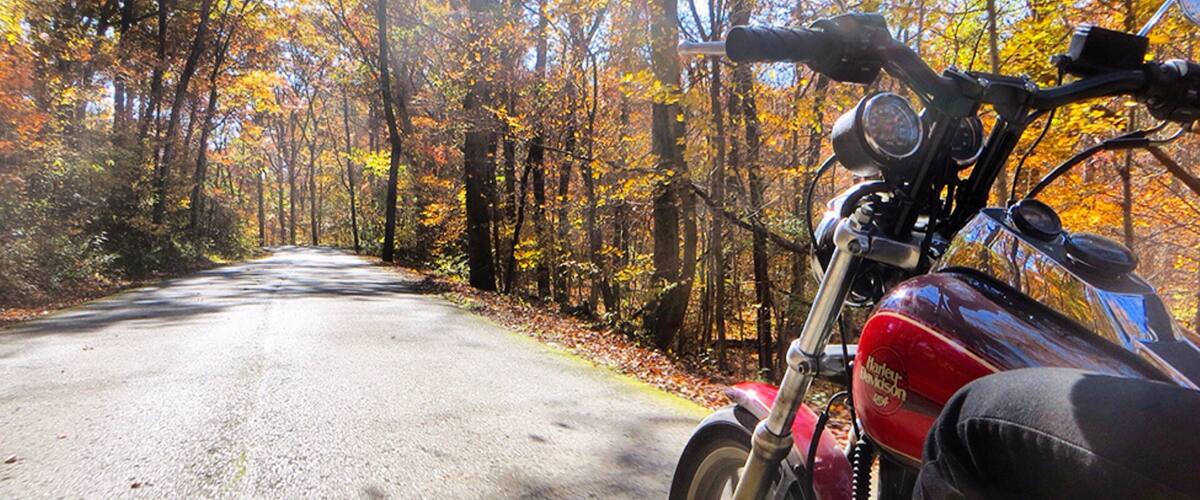 A motorcycle parked on a road surrounded by autumn trees.