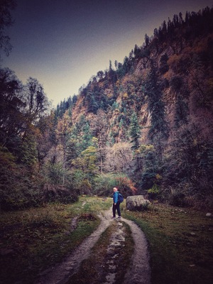 Trek to The Magic Honey Village
The villagers from Grahan are honey gathers and they hike up deep into the forests with huge rifles to protect themselves from the Himalayan Bears which are in plenty around the hives. The honey gathered from the forests near Grahan has a different taste and feel to it. A couple of table spoons and one will feel a heavy sugar rush, something very uncommon after having honey.
#wanderlust #outdoor #nature #trekking #solotraveller #Unexplored
#LifeAtExpediaGroup
