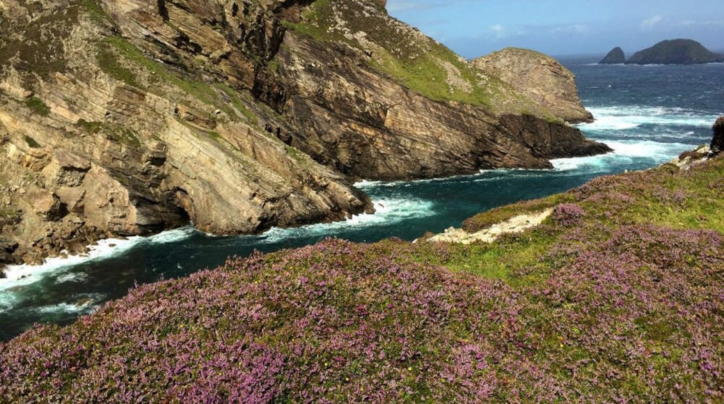 Portacloy in north-west Mayo is off the beaten track, even by Irish standards. Wild, rugged cliffs blanketed in purple heather and beautifully rich grasslands. This area takes effort to get to, and there is no infrastructure for tourists other than being at one with nature. Belmullet, the nearest village about 20km away is where you should base yourself, and sample the unique Irish night life.
