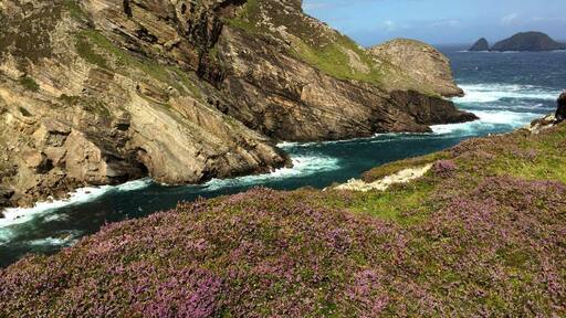 Portacloy in north-west Mayo is off the beaten track, even by Irish standards. Wild, rugged cliffs blanketed in purple heather and beautifully rich grasslands. This area takes effort to get to, and there is no infrastructure for tourists other than being at one with nature. Belmullet, the nearest village about 20km away is where you should base yourself, and sample the unique Irish night life.