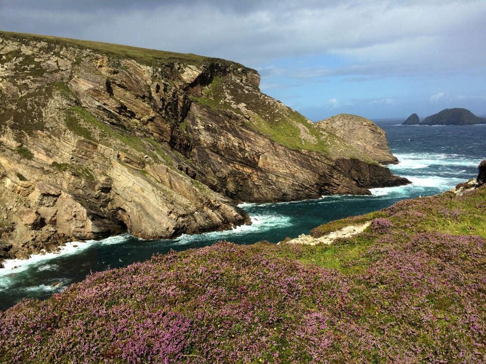 A coastal cliff with purple heather, ocean waves, and distant islands.
