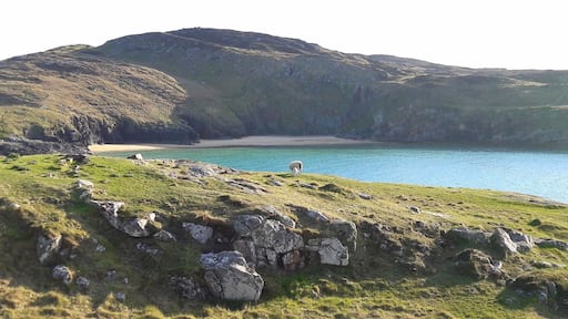 Tolle Natur und einsame Strände.
Stunning nature and views and secret beaches.