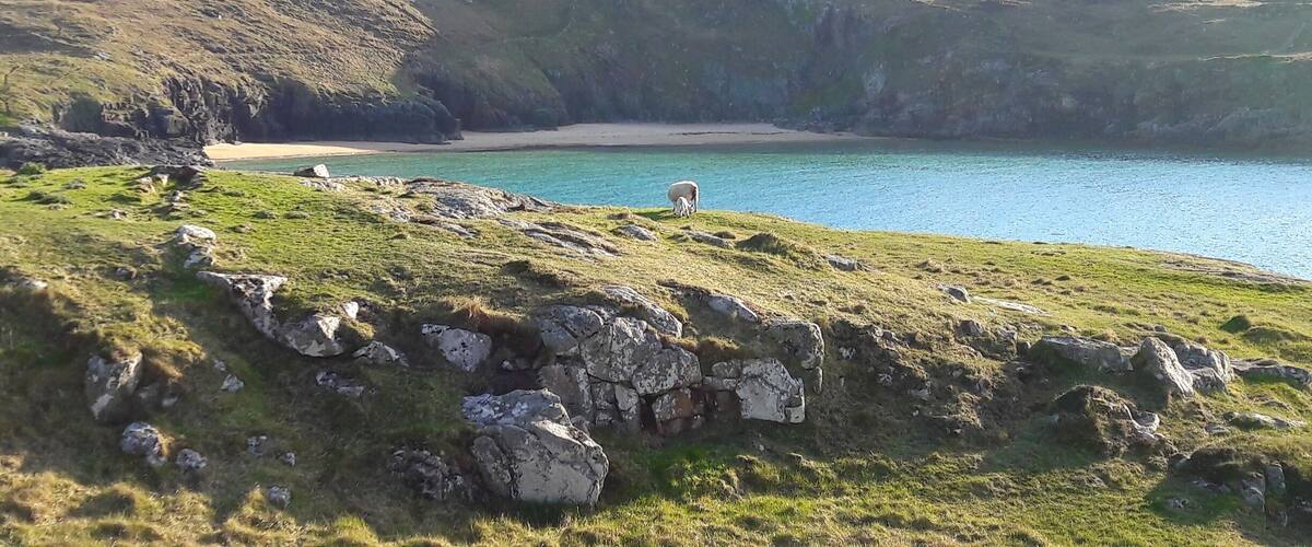 A coastal landscape with a grassy hill, a rocky foreground, and a calm sea.