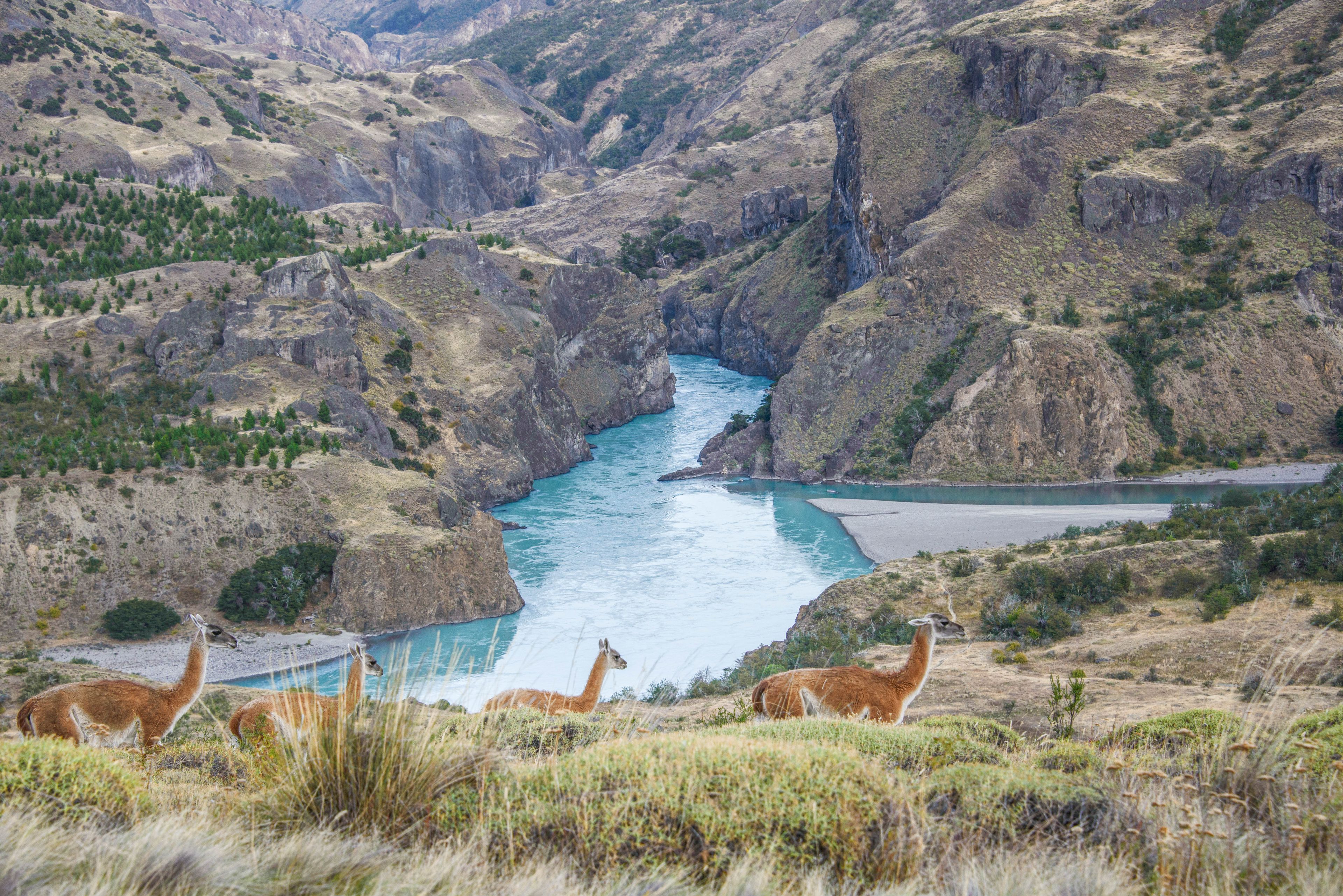 A canyon with a river, surrounded by rocky terrain and sparse vegetation.