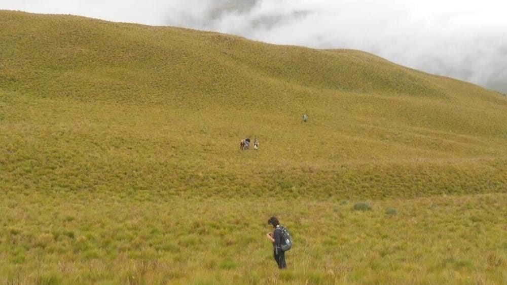 Nothing but golden grass as far as the eye can see. It was breathtaking. A group of highly endangered Andean Condors resides in the cliffs beyond the far hill.