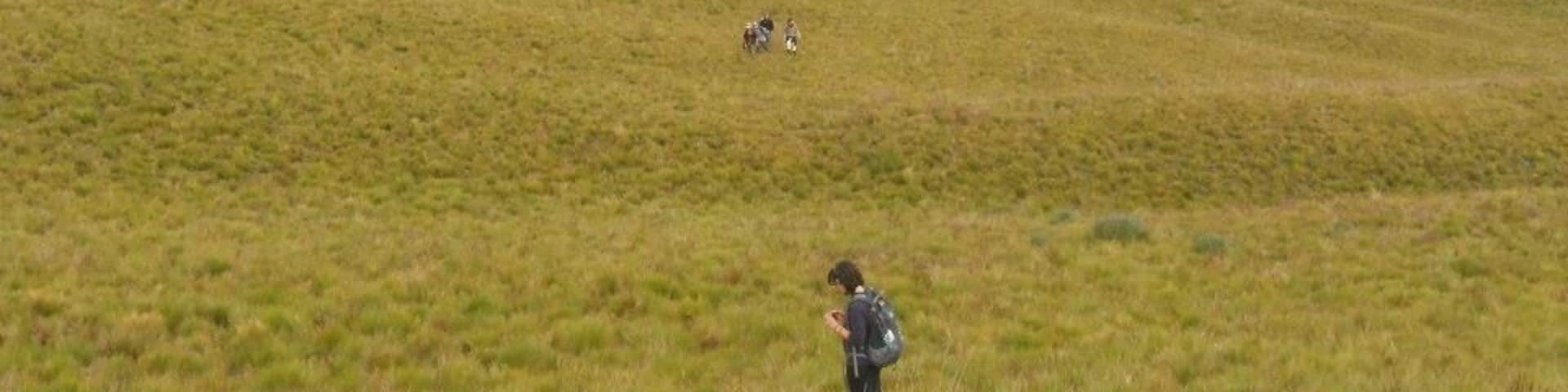 Nothing but golden grass as far as the eye can see. It was breathtaking. A group of highly endangered Andean Condors resides in the cliffs beyond the far hill.