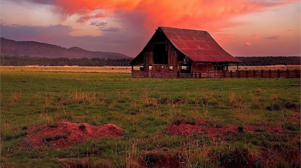 I saw these clouds starting to turn colors while I was driving through the forest. I couldn't get a good view so I turned to the first road I saw and ended up on this farm. #colorful