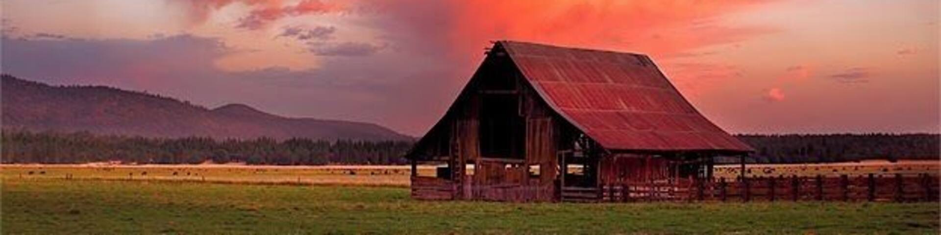 I saw these clouds starting to turn colors while I was driving through the forest. I couldn't get a good view so I turned to the first road I saw and ended up on this farm. #colorful