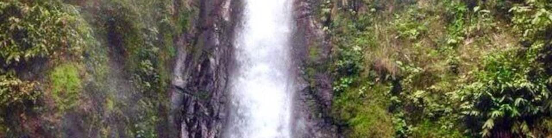 Catarata de Aquiares: After a daunting 2 hour hike up a mountain and down through old coffee fields we found this gem #costarica #waterfalls #aquatrove