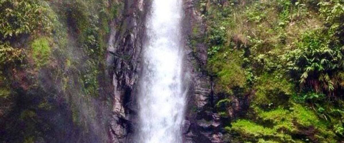 A waterfall cascading down a rocky cliff surrounded by lush greenery.
