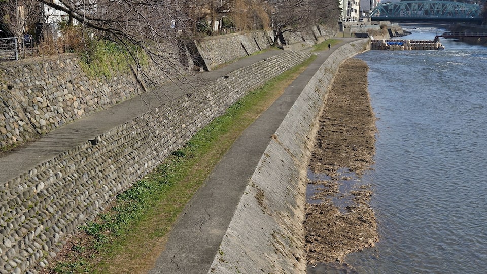 犀川大橋周辺の風景