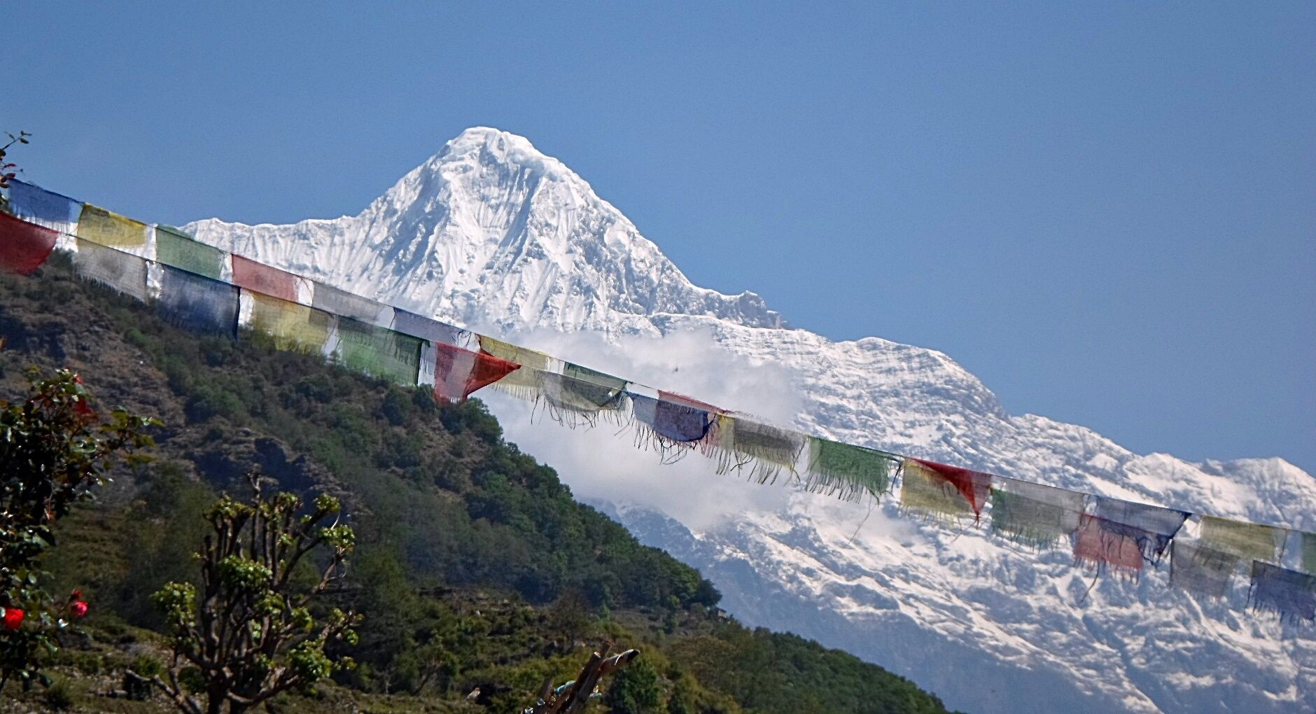A snow-covered mountain with colorful prayer flags.