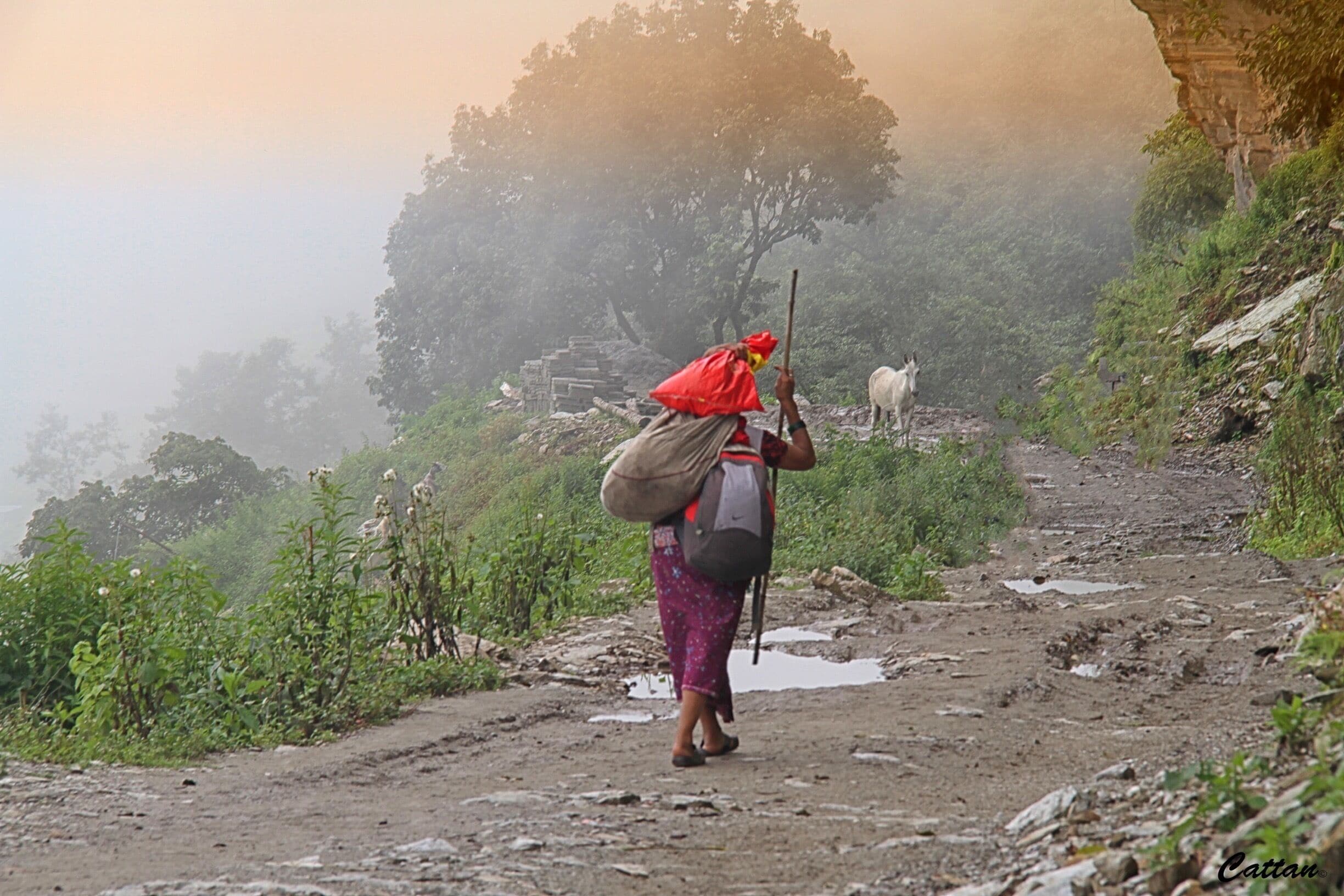 Ghandruk local villager culture and lifestyle - Nepal. Hiking for a day we are totally tired but our journey is not over yet as the leeches caught up with us, as we hike into the village of Ghandruk. Finally, realized that our body are not as fit as we expected, An adventure into the unknown earth. It awakens us to the passion of adventure. We are looking for our next adventure. #Nepal #nationalpark #landscape #hiking #adventure #travel #landscape #red