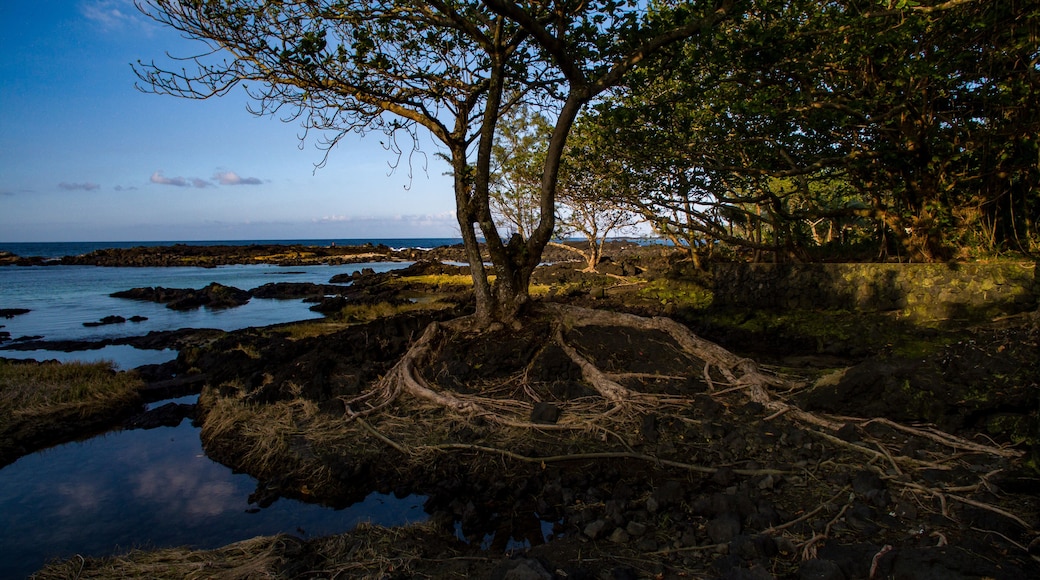 Parque de la playa Carlsmith