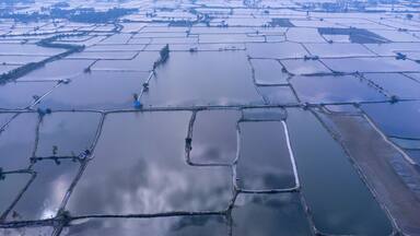 Flooded rice paddies from an aerial perspective creating geometric patterns. The Muhuri Project is Bangladesh's second-largest irrigation project. Aerial View of Farm Ponds and Coastal Landscape