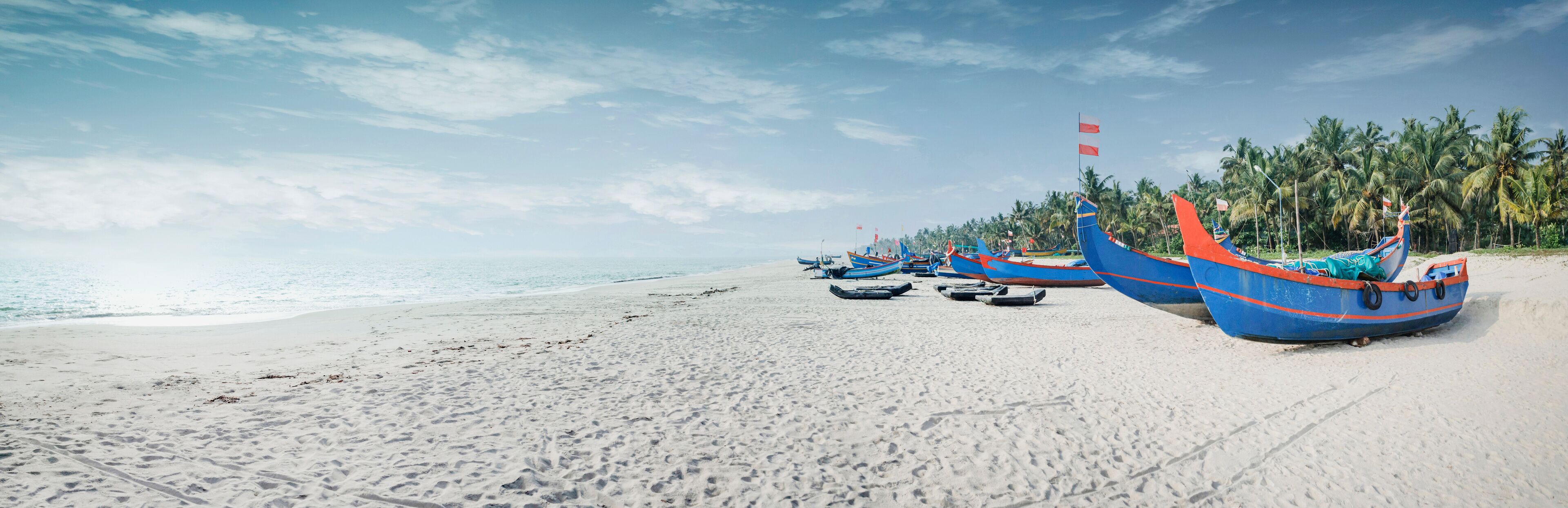 A beach with several boats lined up on the sand, palm trees in the background, and a clear sky.