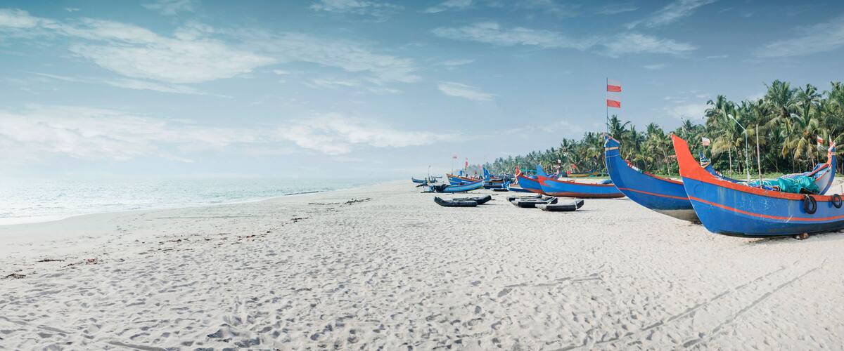 A beach with several boats lined up on the sand, palm trees in the background, and a clear sky.