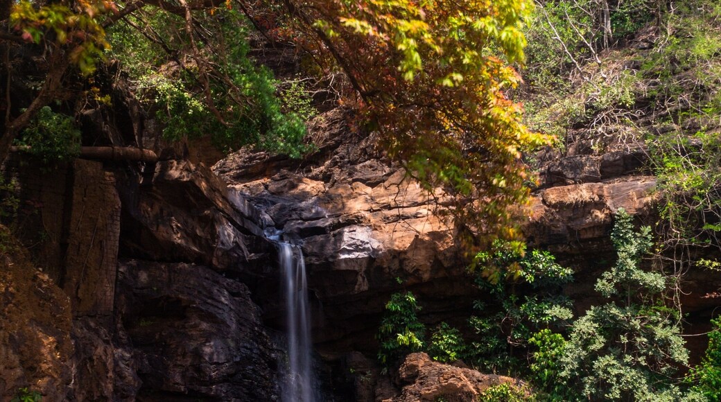 Vertical shot of Harvalem Waterfall, Sanquelim, India