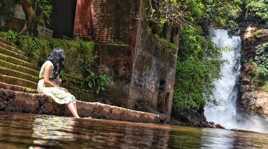 A rainbow to sooth your eyes , roaring sound of waterfall to awaken your ears , pure water to cleanse your feet and the cool breeze to sooth your soul. This all this place has to offer . If your visiting Goa, then make sure to take some time out from beaches to visit this place
#unseengoa #itchyfeet👣