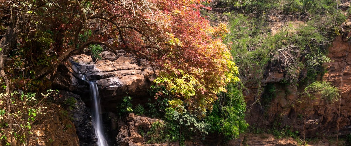 A waterfall cascading over rocky cliffs surrounded by autumn foliage.